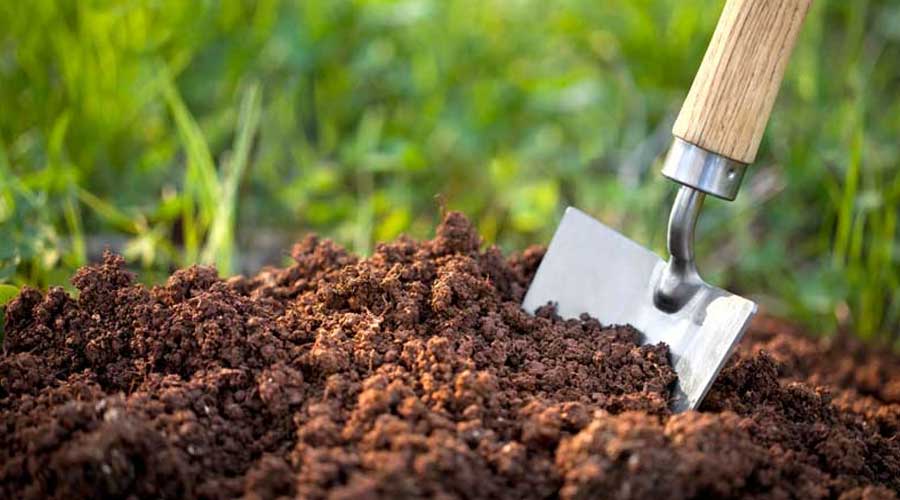 خاک با ارزش، گنجی زیر پاهای ما!